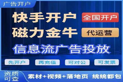 百度广告投放技巧与运营推广策略